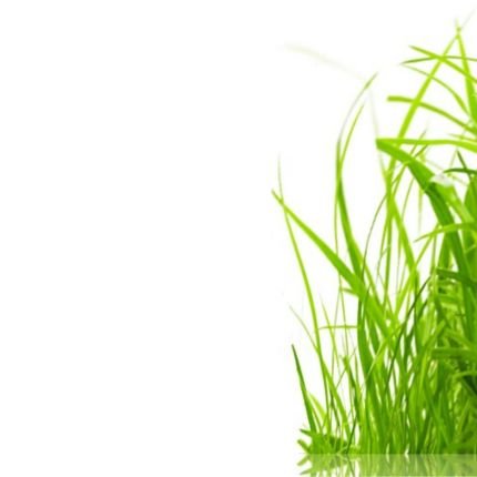 categro herbicide